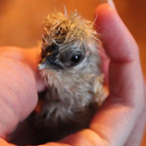 April 10th, Tuesday
Happy Birthday!!!