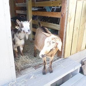Kisses and Betty