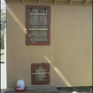 west wall window and pop door that will eventually lead into their run