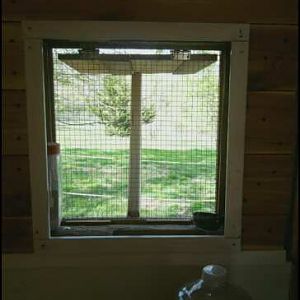 north window from interior