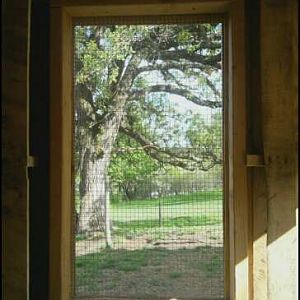 morning view (east wall)