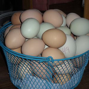 Eggs