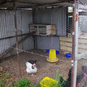 My Cook pen