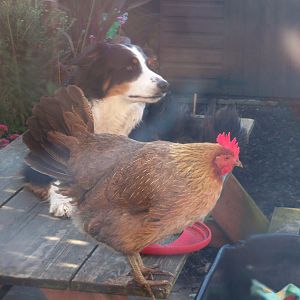 Nora and Gwen (the dog)