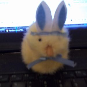 100_0849[1]