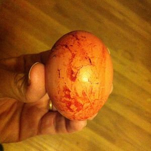 Bloody egg?