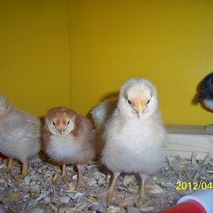 They sure like the camera