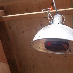 2x2 inside for hanging stuff on (i.e heat lamp, water, etc.)