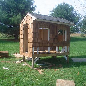 My coop is being built