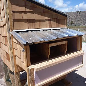 roosting box with removable divider for easy cleaning