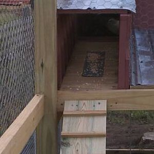 through the breezeway and through the pop door