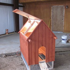 My varmint proof chick house.