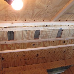 Varmint proof chick house.