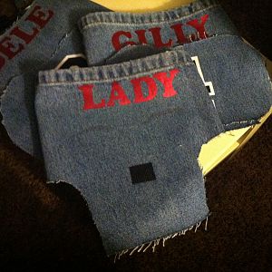 Lucky number 7 Lady bird's home made saddle/apron...velcro for the "wing" protector