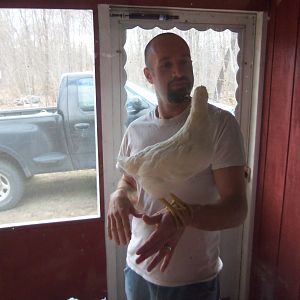 Daddy and lady #2