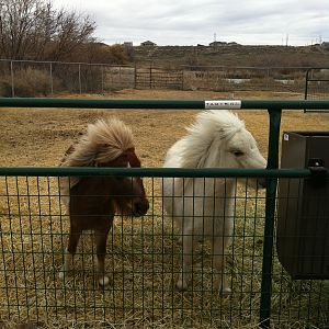 Cash and Hope