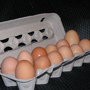 My girls' eggs :)