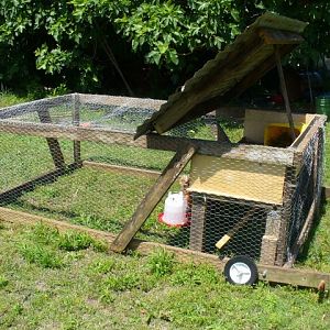 My Chicken Tractor