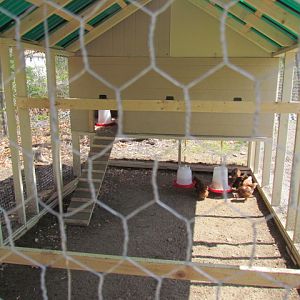 IMG_2050.JPG

here's a long view of the inside of the coop . they are having a ball in there . Im very happy there happy lol
