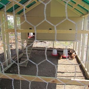 IMG_2050.JPG

here's a long view of the inside of the coop . they are having a ball in there . Im very happy there happy lol