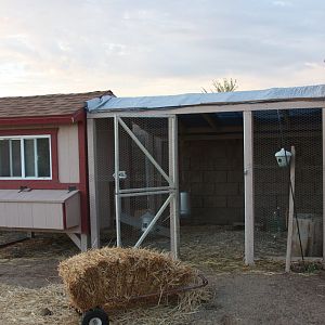 Coop, run and garden shed