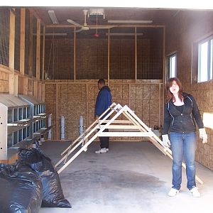 Chicken moving day...from the brooder to their new coop!