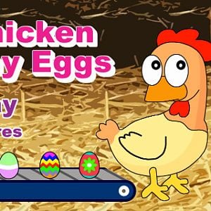 Chicken Lay Eggs