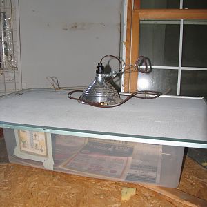 Some of the pics relating to my DYI incubator.