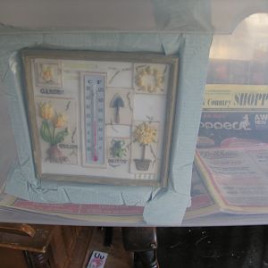 Some of the pics relating to my DYI incubator.