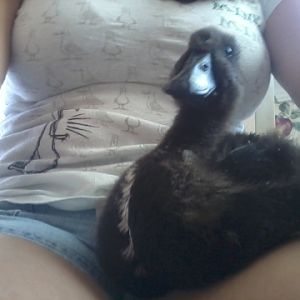 My baby "the boss"