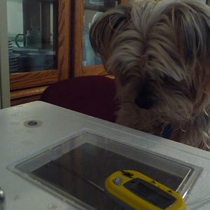 Bridget pretty intense on what's happening