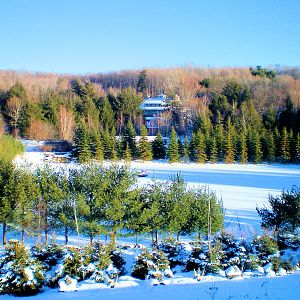 Our lake during winter.