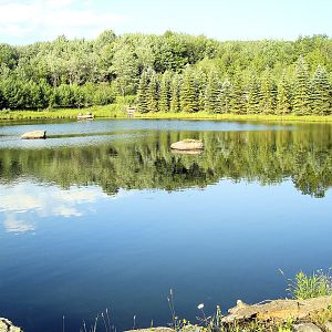 Close up of the lake.