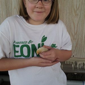 Daughter with chickies