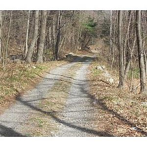 This is the driveway to the house. We are about 600 feet from the road.