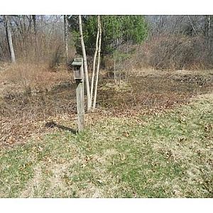 A bit of an unhappy sight. Previous owners started an irrigation pond, but it has become stagnant. It will be a chore, but I believe I can bring it back to life over a few years. Today it's nothing more than a mosquito breeder. :-(