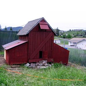 Our Chicken Coop, looks like the antique barn on my Taylor Grandparents grain farm where I was raised North of Eugene, Oregon.