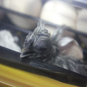 May3rd, Happy Birthday!