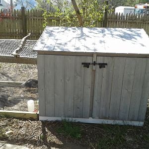 My chicken coop
Still needs a few things...
Maybe some bright red paint! :)