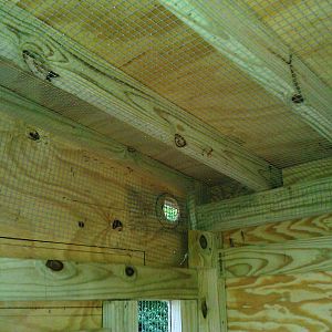 interior view of the wire cloth, attached to the inside of the coop and around vents