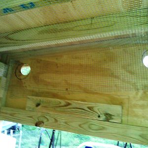 interior view of the wire cloth, attached to the inside of the coop and around vents