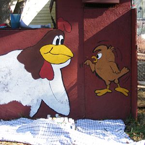 My First Coop, Made from an old above ground pool frame some left over wood and tin from roofing a pole barn the paint was a returned color at home depot the whole gallon for $5 our neice hand painted the Foghorn Leghorn and chicken hawk on the coop.