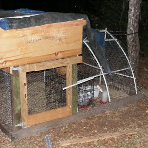 The Second Coop I built out of old store shelving we bought at the flea market for $2 a piece old 4X4s make up the yard under the dirt is old farm fence to keep out predators old pvc used to hold the chicken wire up for the yard, the chickens have the ability to go beneath the coop for more yard area, We enclose all our coops due to the owls and hawks in our area has well we are an abused dog rescue and this protects the chickens from the dogs on property