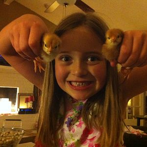 We've got chicks!