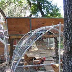 our stilt coop