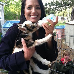 Feeding goats at my friend Blujem's house!