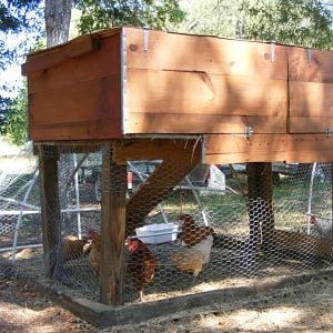 The back of the second coop i built with egg gathering doors