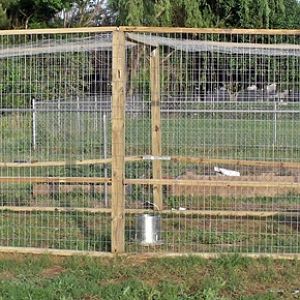 Duck pen