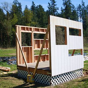 Holes for windows & nesting boxes