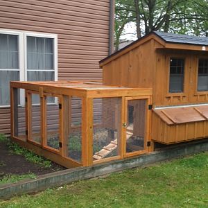 This is the first time we have raised chickens. I just finished the run last week. The girls love it. If we're gonna raise chickens they must have the best !!!